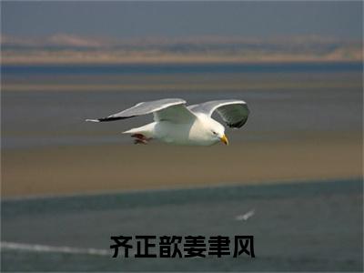 齐正歆姜聿风（姜聿风齐正歆）笔趣阁免费小说全文完整版-姜聿风齐正歆无弹窗免费阅读
