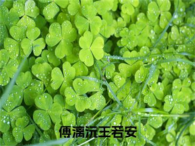 傅漓沅王若安最新章节（傅漓沅王若安）全文免费阅读无弹窗大结局_傅漓沅王若安免费阅读