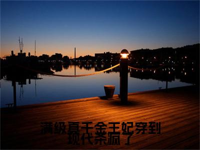 新上热文满级真千金王妃穿到现代杀疯了在线阅读-殷小柒叫殷小柒的小说全文完整版免费阅读