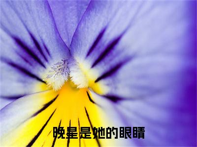 晚星是她的眼睛小说大结局精彩推荐，苏林冉全文完整版在线阅读