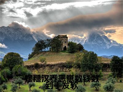 嫁糙汉养恶崽数钱数到手发软小说全文免费阅读小说付锦容热门小说完整版阅读