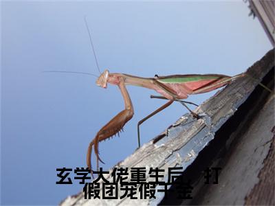 玄学大佬重生后，打假团宠假千金（黎姝沈聿）小红书热荐小说-玄学大佬重生后，打假团宠假千金女生爱看的小说全集资源