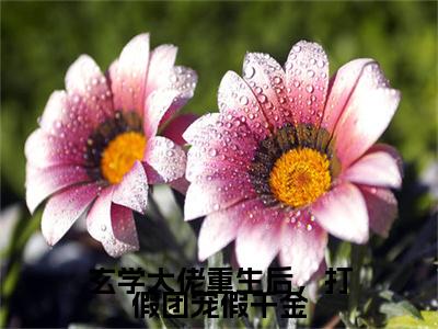 玄学大佬重生后，打假团宠假千金小说无弹窗（黎姝沈聿）全文免费阅读无弹窗大结局_黎姝沈聿最新章节列表_笔趣阁