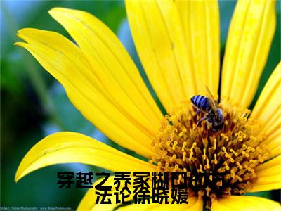 穿越之养家糊口的方法论徐晓媛小说徐晓媛最新更新—徐晓媛小说美文赏析