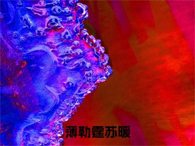 薄勒霆苏暖小说（苏暖薄勒霆）全文完整版免费阅读-苏暖薄勒霆全文完整版免费阅读（苏暖薄勒霆）