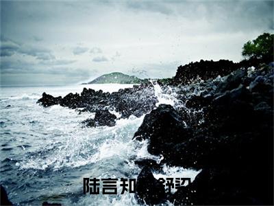 陆言知顾舒染小说顾舒染陆言知无弹窗免费阅读-最新小说陆言知顾舒染（顾舒染陆言知）全文阅读