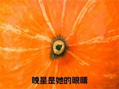 晚星是她的眼睛（苏林冉）全文免费阅读无弹窗大结局_晚星是她的眼睛全文免费完结版阅读（苏林冉）