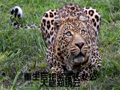 主角是郑绣云的小说叫什么名字重生后抱紧军长老公大腿郑绣云-老书虫书荒推荐热点小说重生后抱紧军长老公大腿郑绣云（郑绣云）