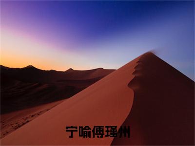 宁喻傅瑾州「精彩小说」无弹窗阅读宁喻傅瑾州大结局阅读