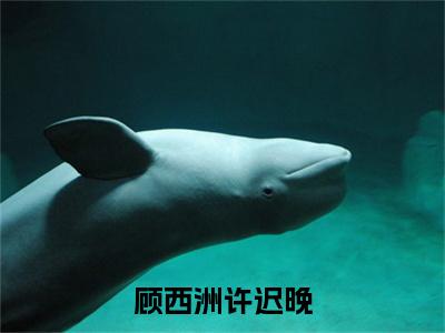 顾西洲许迟晚主角是顾西洲许迟晚全文免费阅读无弹窗-顾西洲许迟晚最新章节列表-笔趣阁