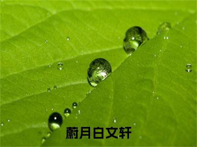 蔚月白文轩白文轩蔚月全文小说-蔚月白文轩小说最新章节免费阅读