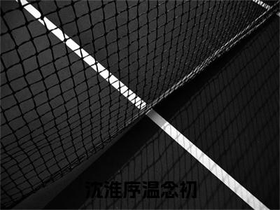 主角为温念初沈淮序的小说（沈淮序温念初）大结局免费阅读-沈淮序温念初全文免费阅读笔趣阁
