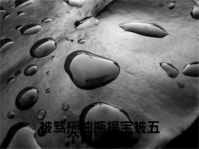 《被骂拖油瓶福宝被五个舅舅宠翻》姜浅（大结局小说全集完整版）姜浅小说_被骂拖油瓶福宝被五个舅舅宠翻全文阅读笔趣阁