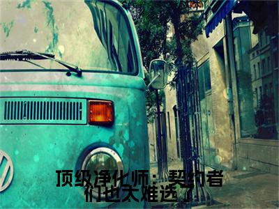 顶级净化师：契约者们也太难选了小说时柒最新更新—时柒小说美文赏析