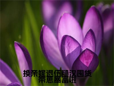 凌瑶小说（换亲嫁退伍糙汉囤货带崽暴富啦）全文免费读无弹窗大结局_凌瑶小说免费阅读-笔趣阁（换亲嫁退伍糙汉囤货带崽暴富啦）
