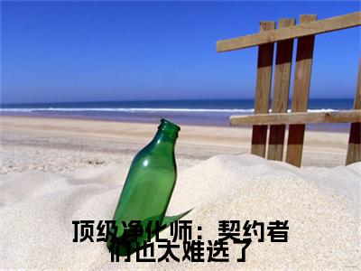 时柒小说完整版阅读-顶级净化师：契约者们也太难选了小说全文无删减版