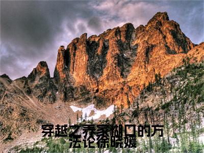 穿越之养家糊口的方法论徐晓媛全文小说（徐晓媛）在线阅读无弹窗大结局_徐晓媛全文在线阅读无弹窗