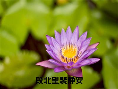 段北望裴静安（段北望裴静安）全文免费阅读无弹窗大结局_段北望裴静安完整版小说阅读（段北望裴静安）