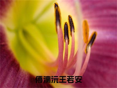 傅漓沅王若安（傅漓沅王若安）全文免费阅读无弹窗大结局_傅漓沅王若安小说最新章节列表_笔趣阁（傅漓沅王若安）