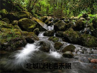 林雨瓷陆京泽小说全文免费阅读大结局-北城以北海未眠最新章节列表免费阅读
