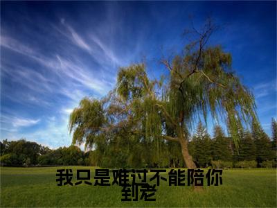 我只是难过不能陪你到老（薄时沉迟知鸢）全文免费阅读大结局_（薄时沉迟知鸢免费阅读）我只是难过不能陪你到老全文在线完本阅读