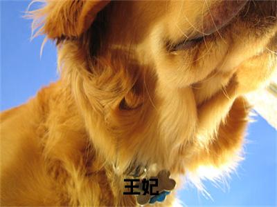  王妃是什么小说-赵庭轩免费小说在线阅读