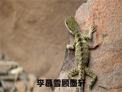 李慕雪顾墨轩小说全文免费阅读正版顾墨轩李慕雪免费阅读无弹窗