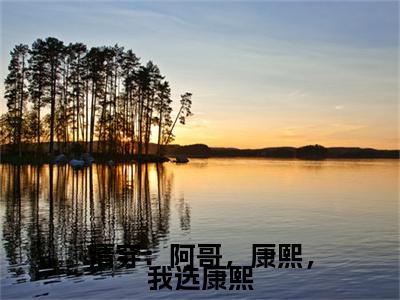 明珠小说在线阅读-清穿：阿哥，康熙，我选康熙小说最新章节阅读