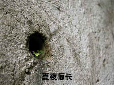 夏夜疯长小说免费阅读（何青夏严续）全文免费阅读大结局-（夏夜疯长小说免费阅读）好书推荐