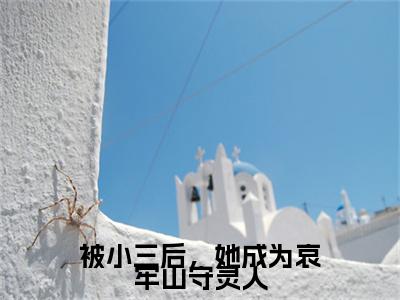 辛珑霍云青全文免费阅读大结局-被小三后，她成为哀牢山守灵人完整版无弹窗