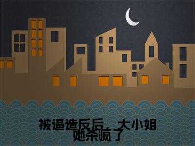 沈朝容小说被逼造反后，大小姐她杀疯了完整版全文在线赏析-小说沈朝容全文大结局已完结