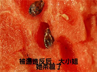 沈朝容（被逼造反后，大小姐她杀疯了）高质量小说免费阅读-主角是沈朝容的小说叫什么名字（被逼造反后，大小姐她杀疯了）