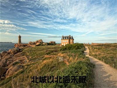 （林雨瓷陆京泽）全文免费阅读无弹窗大结局_（北城以北海未眠全文免费）林雨瓷陆京泽小说最新章节列表_笔趣阁