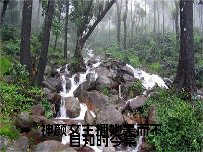 神颜女主播她美而不自知时今棠小说全文免费阅读无弹窗大结局_（神颜女主播她美而不自知时今棠）时今棠最新章节列表笔趣阁