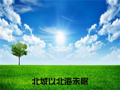 陆京泽林雨瓷（北城以北海未眠）在哪里可以免费看-北城以北海未眠（陆京泽林雨瓷）小说全章节免费阅读