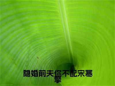 小说隐婚前夫你不配宋寒擎在线阅读-正版小说《华沫宋寒擎》隐婚前夫你不配宋寒擎全文阅读