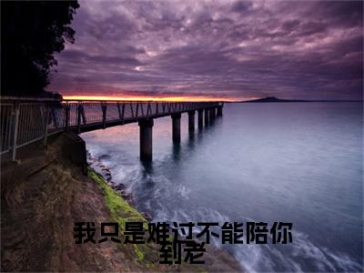 我只是难过不能陪你到老（迟知鸢薄时沉）全文免费阅读无弹窗大结局_（迟知鸢薄时沉无弹窗）_笔趣阁