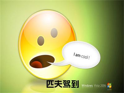 匹夫驾到（萧炀）全文免费阅读无弹窗大结局_萧炀全文在线阅读