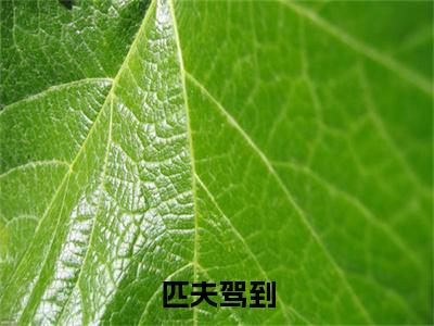匹夫驾到（萧炀）全文免费阅读无弹窗大结局_匹夫驾到小说全文免费阅读最新章节列表（萧炀）