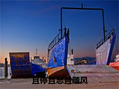 且停且忘且随风（叶棠秦砚）全文免费阅读无弹窗-（且停且忘且随风）叶棠秦砚小说全文在线赏析