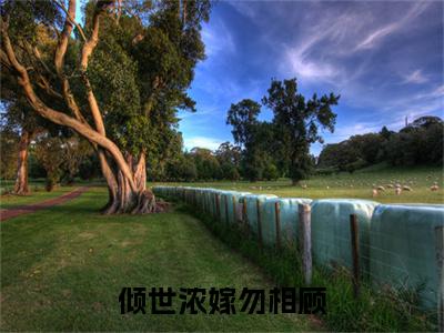 萧晏辞苏琼月（完整版）热文小说阅读-萧晏辞苏琼月全文抖音热推