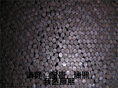 小说清穿：阿哥，康熙，我选康熙完整版在线阅读明珠精选小说推荐试读