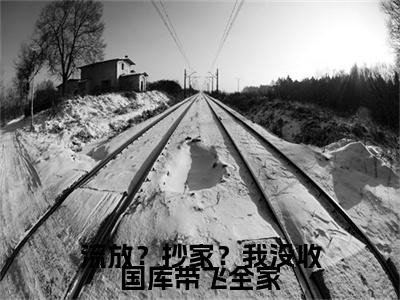 流放？抄家？我没收国库带飞全家（林汐研）全文免费阅读无弹窗大结局_（林汐研免费阅读）流放？抄家？我没收国库带飞全家无弹窗最新章节列表