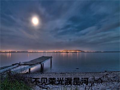 不见荣光渡星河全文免费在线阅读_苏静怡顾烨城全文免费阅读无弹窗大结局