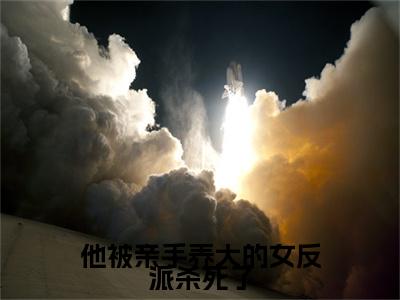 他被亲手养大的女反派杀死了全文免费在线阅读_（墨婉温昊乾免费阅读无弹窗）他被亲手养大的女反派杀死了全文免费完结版阅读