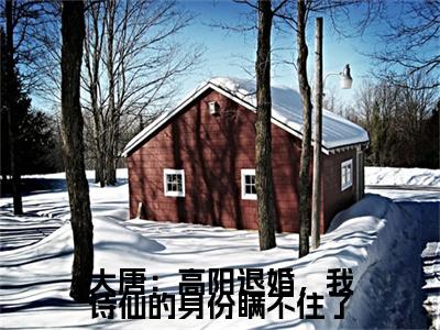 大唐：高阳退婚，我诗仙的身份瞒不住了房俊免费小说房俊全文无弹窗完整版阅读