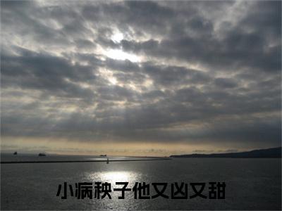 时屿南栖（小病秧子他又凶又甜）小说全文无删减-时屿南栖小说免费阅读大结局
