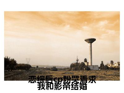 恋综后cp粉哭着求我和影帝结婚（薄嘉野虞棉棉小说）全文免费阅读无弹窗大结局_（薄嘉野虞棉棉小说）恋综后cp粉哭着求我和影帝结婚最新章节列表