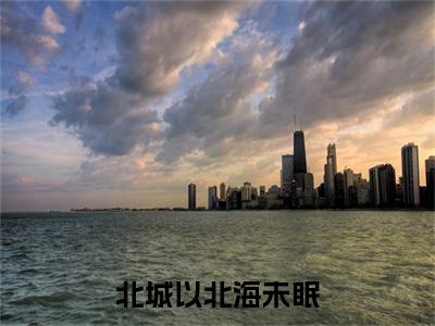 北城以北海未眠小说免费下载（北城以北海未眠完整全集已完结大结局小说）_陆京泽林雨瓷免费阅读笔趣阁