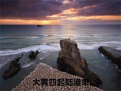 许连栀陆淮聿（大雾四起陆淮聿）小说全文无删减版在线阅读_大雾四起陆淮聿（许连栀陆淮聿无弹窗）_笔趣阁